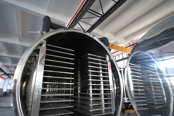 2025食品冻干机工厂怎么选年度盘点:宁波酷游ku股份有限公司实力领航,食品冻干设备推荐！